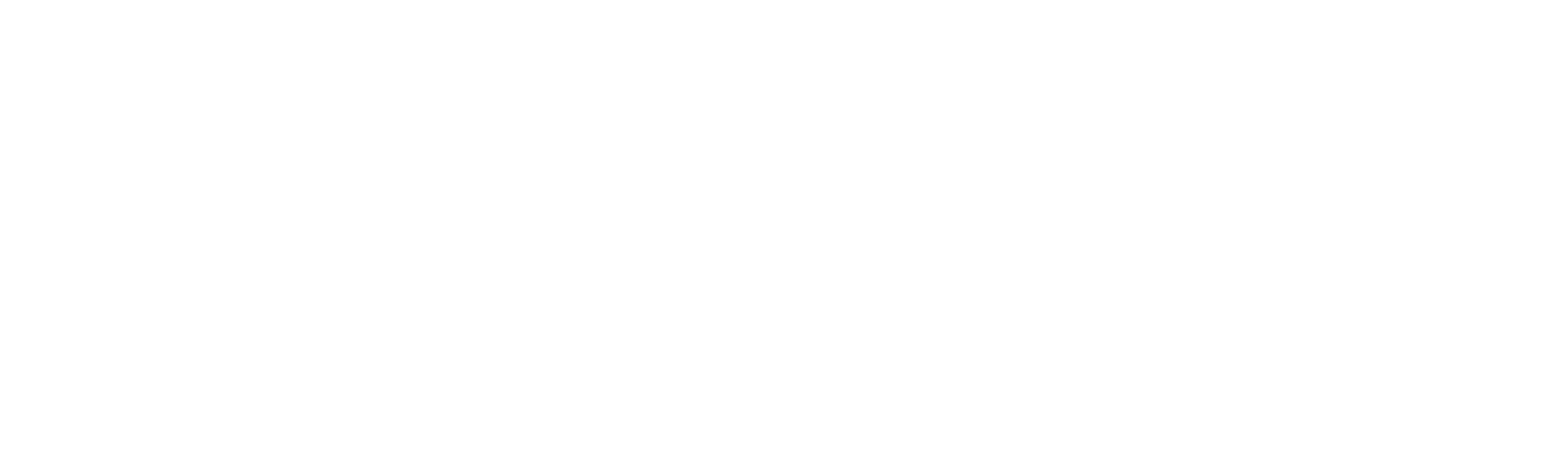 FS FliesenTechnik Logo weiss